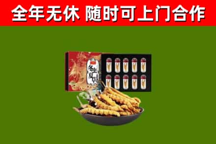 逊克县回收冬虫夏草价格