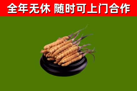 逊克县烟酒回收冬虫夏草.jpg